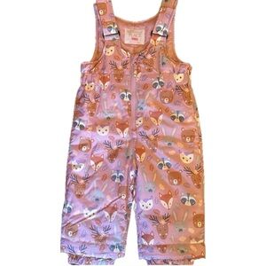 The Children’s Place 18-24mos Snow Pants / Overalls Like New Toddler Baby Girls